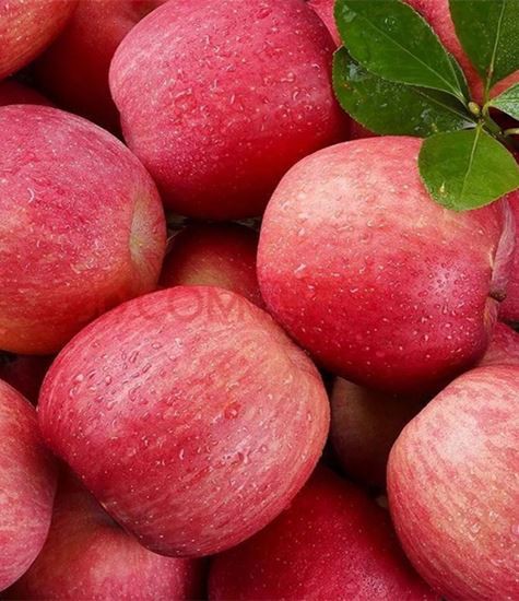 あらゆる種類のリンゴ