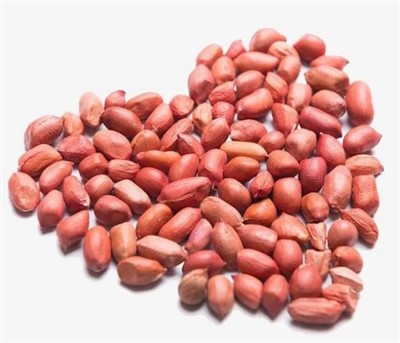 新鮮な大きな生落花生